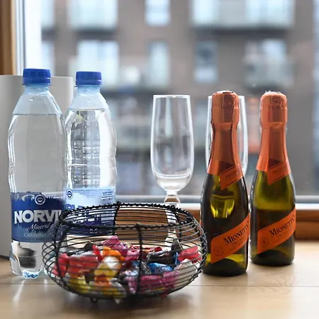 Vincent Light Loft - Near Clinic, Arena And Stadium * Kaunas