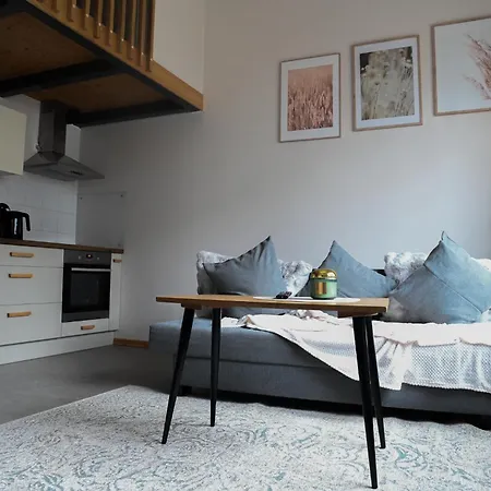 Appartement Vincent Light Loft - Near Clinic, Arena And Stadium *