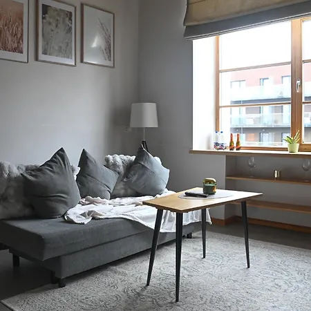 Apartment Vincent Light Loft - Near Clinic, Arena And Stadium