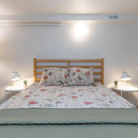 Vincent Light Loft - Near Clinic, Arena And Stadium * Kaunas