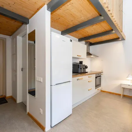 Vincent Light Loft - Near Clinic, Arena And Stadium Appartement Kaunas