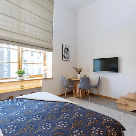 Appartement Vincent Light Loft - Near Clinic, Arena And Stadium Kaunas
