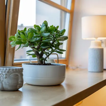 Appartement Vincent Light Loft - Near Clinic, Arena And Stadium