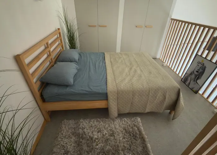 Vincent Light Loft - Near Clinic, Arena And Stadium * Kaunas